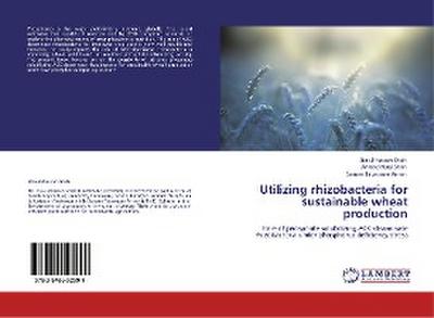 Utilizing rhizobacteria for sustainable wheat production