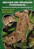 Südlicher und Nördlicher Flechtengecko