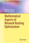 Mathematical Aspects of Network Routing Optimizati