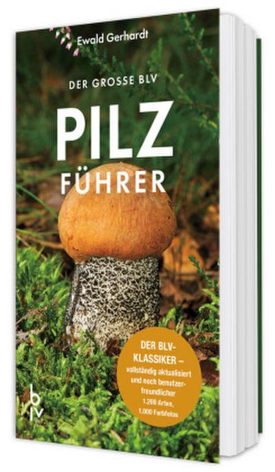 Der große BLV Pilzführer