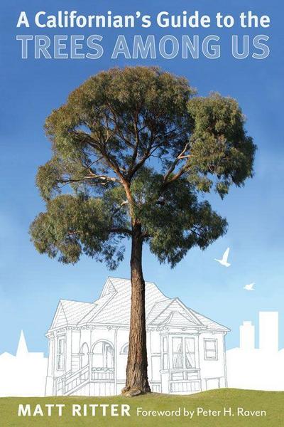 A Californian’s Guide to the Trees among Us