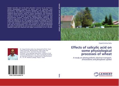 Effects of salicylic acid on some physiological processes of wheat