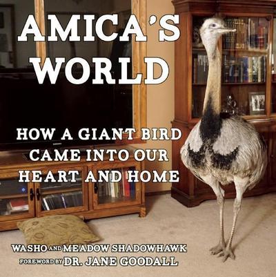 Amica’s World