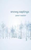 Snowy Saplings