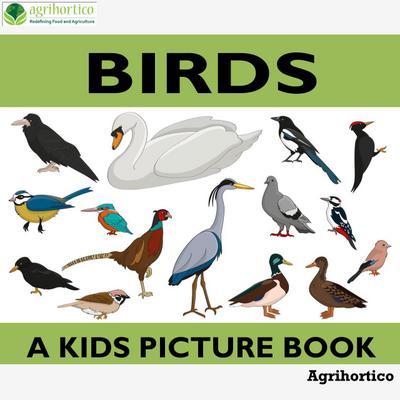 Birds: A Kids Picture Book