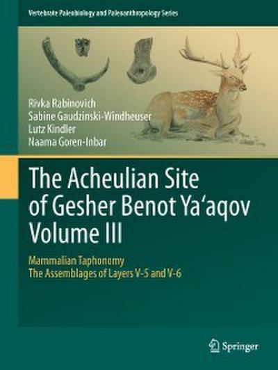The Acheulian Site of Gesher Benot Ya’aqov Volume III