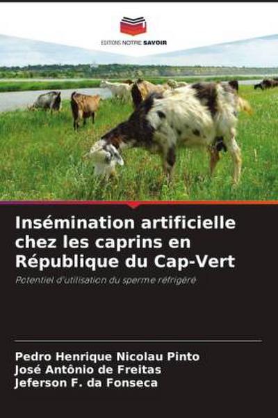 Insémination artificielle chez les caprins en République du Cap-Vert