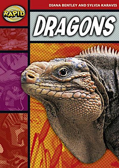 Rapid Reading: Dragons (Stage 2, Level 2b)