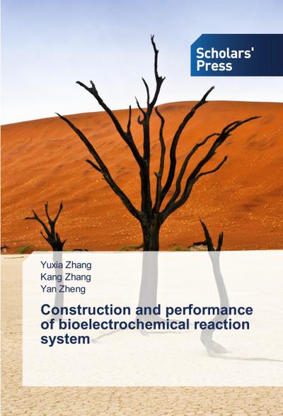 Construction and performance of bioelectrochemical reaction system