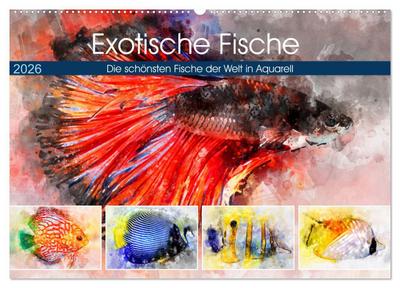 Exotische Fische - Die schönsten Fische der Welt in Aquarell (Wandkalender 2026 DIN A2 quer), CALVENDO Monatskalender