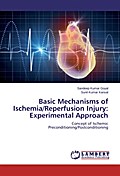 Basic Mechanisms of Ischemia/Reperfusion Injury: Experimental Approach