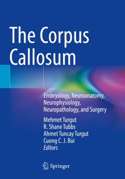The Corpus Callosum
