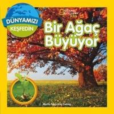 Dünyamizi Kesfedin - Bir Agac Büyüyor