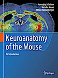 Neuroanatomy of the Mouse