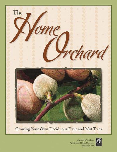 Home Orchard [Op]