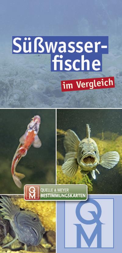 Süßwasserfische: im Vergleich (Quelle & Meyer Bestimmungskarten)