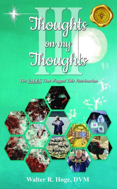 Thoughts on my Thoughts Book III