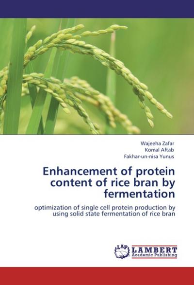 Enhancement of protein content of rice bran by fermentation