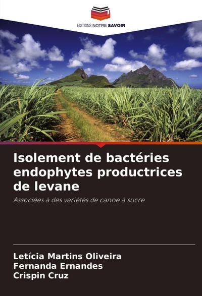 Isolement de bactéries endophytes productrices de levane