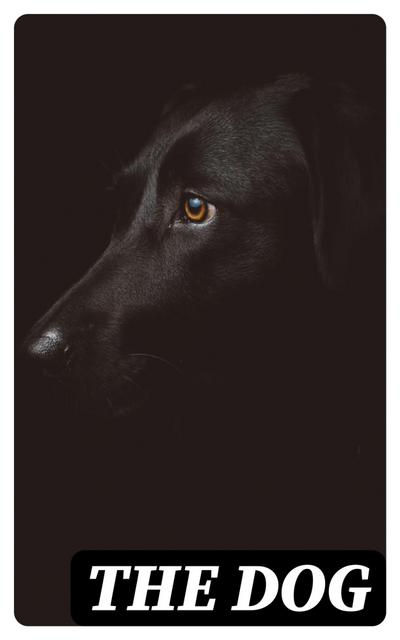 The Dog