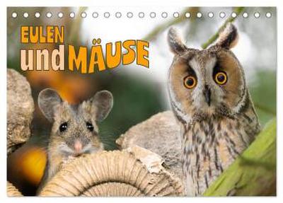 Eulen und Mäuse (Tischkalender 2026 DIN A5 quer), CALVENDO Monatskalender