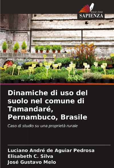 Dinamiche di uso del suolo nel comune di Tamandaré, Pernambuco, Brasile