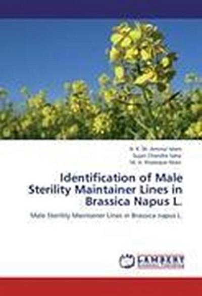 Identification of Male Sterility Maintainer Lines in Brassica Napus L.