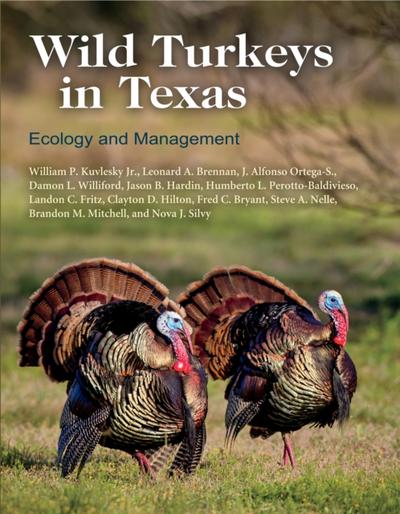 Wild Turkeys in Texas