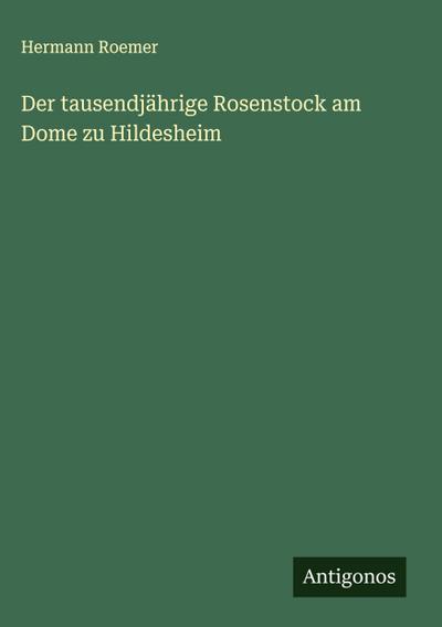 Der tausendjährige Rosenstock am Dome zu Hildesheim