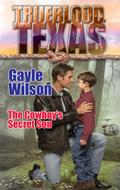 The Cowboy’s Secret Son