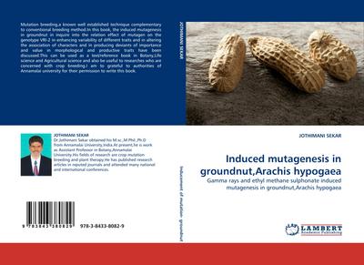 Induced mutagenesis in groundnut,Arachis hypogaea