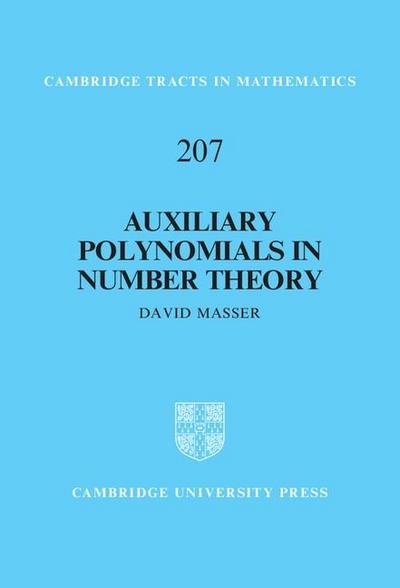 Auxiliary Polynomials in Number Theory