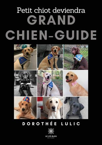 Lulic, D: Petit chiot deviendra grand chien-guide