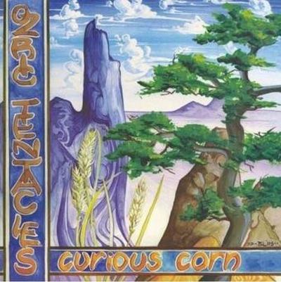 Curious Corn, 1 Audio-CD (Digipak)