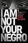 I Am Not Your Negro