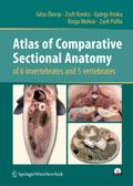 Atlas of Comparative Sectional Anatomy of 6 invert