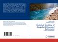 Hydrologic Modeling of Gauged and Ungauged Catchments