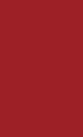 Social Workers’ Perceptions of Clients