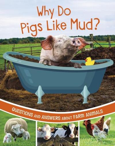 Why Do Pigs Like Mud?