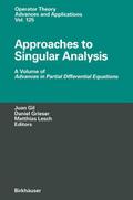 Approaches to Singular Analysis