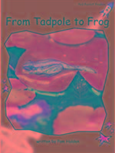 Holden, P: Red Rocket Readers