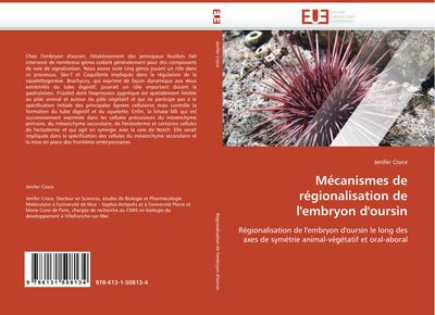 Mécanismes de régionalisation de l’’embryon d’’oursin