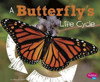 A Butterfly’s Life Cycle