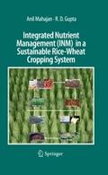 Integrated Nutrient Management (INM) in a Sustainable Rice-Wheat Cropping System