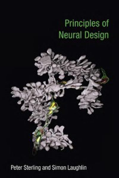 Principles of Neural Design