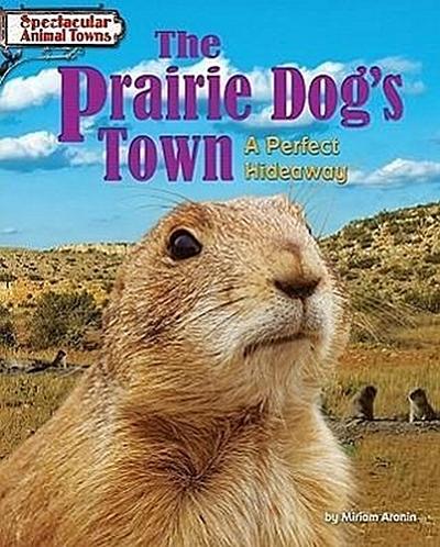 The Prairie Dog’s Town: A Perfect Hideaway