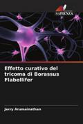 Effetto curativo del tricoma di Borassus Flabellifer