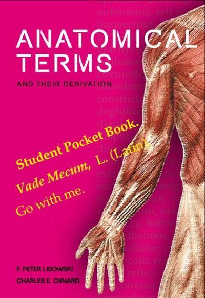 Anatomical Terms and Their Derivation