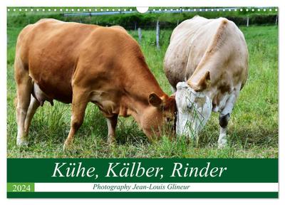 Kühe, Kälber, Rinder (Wandkalender 2024 DIN A3 quer), CALVENDO Monatskalender