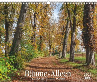 Bäume - Alleen 2026 - Wandkalender 52 x 42,5 cm - Spiralbindung